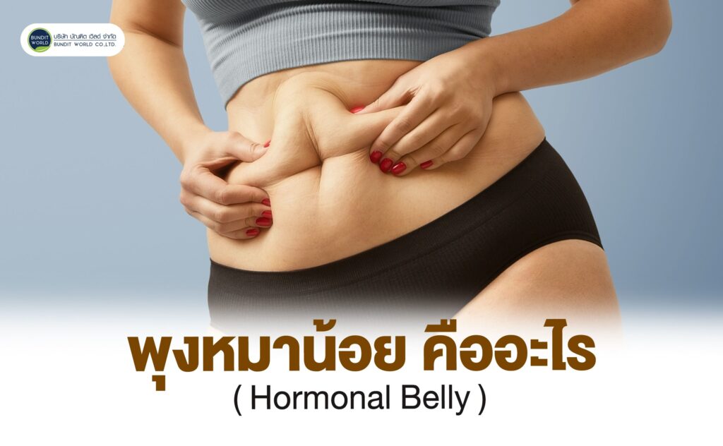 Hormonal Belly พุงหมาน้อย