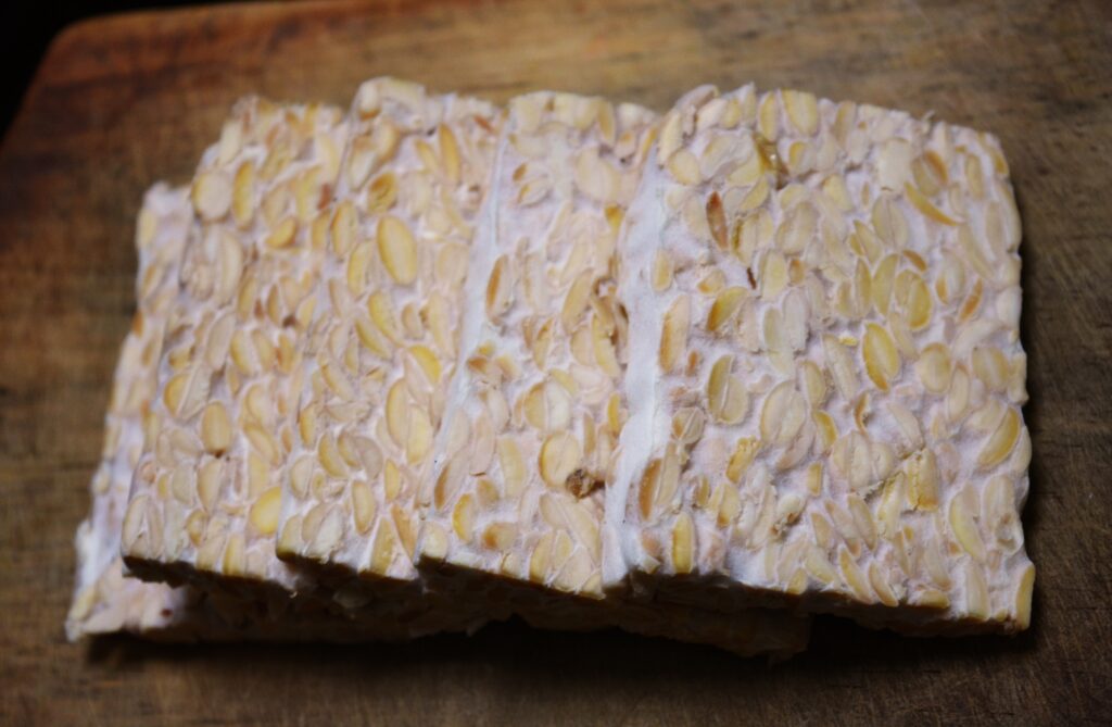 mochawalk-tempeh-4930032 Plant-based Diet กินยังไงให้ได้โปรตีนครบ ไม่ขาดสารอาหาร