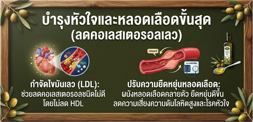 3 ประโยชน์สุดว้าว! กินน้ำมันมะกอกเพียวๆ วันละ 1 ช้อน เสริมสุขภาพ ต้านอักเสบ ชะลอวัย