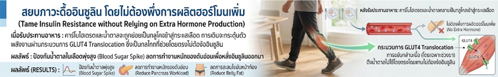 เคล็ดลับปรับฮอร์โมน